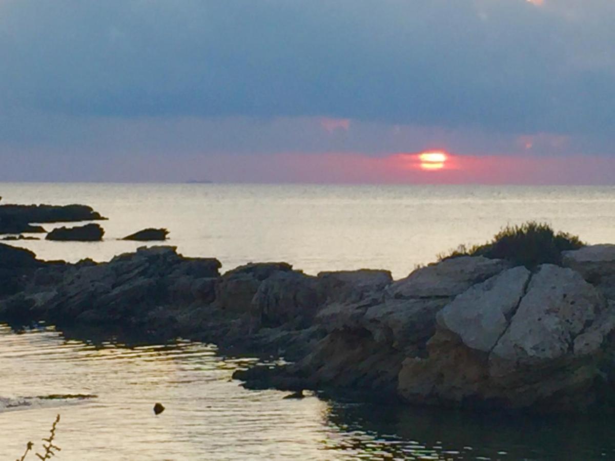 Sa Rapita Es-Trenc Ferienhaeuser Buitenkant foto
